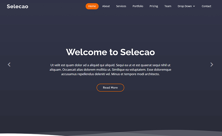 Selecao-bootstrap-website-template